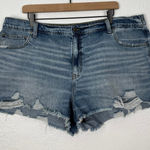 Aerie Daydream Denim Shorts Distressed Stretch Size XXL Photo 0