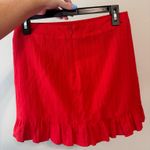 Sadie and Sage  Skirt Mini Photo 2