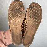 Aerosoles | Yorketown Wedge Sandal Cheetah 7.5 Photo 4