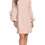 Katherine Barclay NWT Hilary Radley for Woven Ruffle Sleeve Lined Dress $168 Photo 1