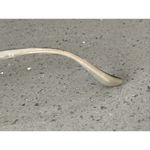 Valentino V5592 ONJV Eyeglasses Frames Only Tortoise 52 Photo 6