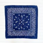 SheIn Blue Bandana Photo 0