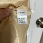 THML Shimmering Champagne/Gold Color Swing Dress Photo 8