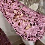 Elliatt  Calendar Floral Pink Long Sleeve Lace Dress Photo 5