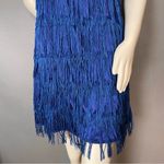 Handmade  Flapper Dress Fringe Blue 1920s‎ Great Gatsby Party Halloween Costume Photo 4