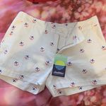 Chubbies American Flag Shorts Photo 0