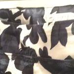 Eliane Rose FINAL MARKDOWN  slacks 18w Photo 5