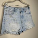 American Eagle  Blue Floral Embroidered Denim Mom Shorts Women's 6 Photo 1