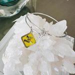 ALEX AND ANI  Baby On Board Bangle Photo 0