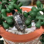 Elegant Silver and Mother of Pearl Ring Photo 1