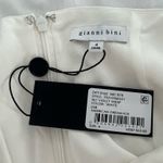 Gianni Bini  Skirt Photo 1