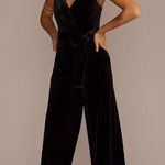 David's Bridal David’s Bridal V-Neck Velvet Jumpsuit with Tie Waist Photo 0