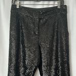 ALC Frank A.L.C. Elegant Black Sequins Pants **Size 2** 🌺🌺 Photo 2