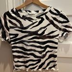 Bear Dance Zebra Shirt Photo 0