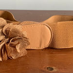 Brown Belt Tan Photo 0