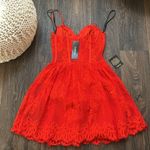 Bebe  Lace Bustier Dress Photo 3