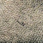 Fossil  Metallic Leather Pouch 6” x 3.5” Photo 8