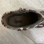 Carlos Santana  Snakeskin boots, size 8 Photo 2