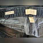 Loft The Trouser style Jean Short Photo 4