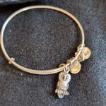 ALEX AND ANI Silver Owl Charm Bangle Bracelet Stackable Photo 0