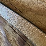 Vintage Apple Acc Of New York Belt Dark Green Snakeskin Photo 4