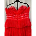 Hutch  Evi Strapless Plissé Gown Red Romantic Floral Size 14 W Plus NWT Gorgeous Photo 9