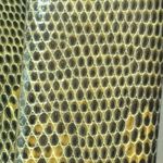 Keylut Leather rink Photo 4