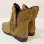 Catherine Malandrino Catherine Maledrino Zipper Snake Booties Photo 1