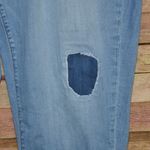 Lane Bryant Womens Plus 22 Light Wash Distressed Boyfriend Blue Jeans Stretch Photo 4