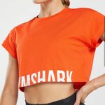 Gymshark Fraction Crop Top Photo 2