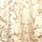 DO+BE White Sleeveless Lace Floral Textured Halter Mini Dress Open Back Button Closure Photo 2