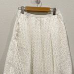Anthropologie MAEVE Eyelet Pleated Antique White Skirt Photo 0