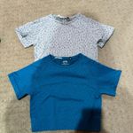 AYBL Grey Cropped Vest Photo 1