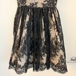 Alice + Olivia Jayna Lace Open Back Dress in Black Photo 5