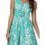 Lilly Pulitzer BIRDS & BEES PARKER DRESS Photo 1