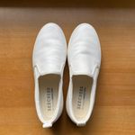 Skechers Street Poppy - Everyday Daisy Shoes Photo 3