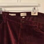 Brooks Brothers Universal thread Red Boot Cut Jeans with Luxurious Fabric NWT Photo 1