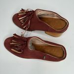 Toms Tom’s clogs size 7 Photo 5