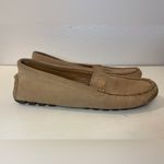 Coach  Women’s Amber‎ Black Cherry Calf Suede Loafers Size 9.5 B Photo 3