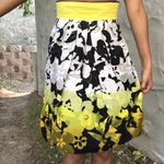 Knee length Poodle skirt, handmade skirt, church, modesty skirt, tulle skirt Size 0 Photo 0