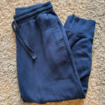 Fabletics  Navy Blue Joggers Photo 0