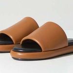 Proenza Schouler 20mm Pipe Padded Slide Sandal - Brown Leather Sz 39 Photo 0