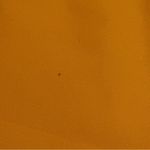 Tarra Hall Vintage Golden Jewel Photo 3