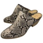Splendid  Size 6.5 Hailee Faux Vegan Leather Snake Python Slip On Heels Mules Photo 0