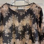 Linea Black and Tan Lace Blouse Size 18 Photo 1