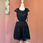 Sequin Hearts black lace, sequin, sexy glamorous Christmas party back cutout mini dress NWT 7 Photo 2