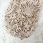 French Connection New  Tan Lace Sleeve Mini‎ Sweater Dress Pleated Holiday Party Photo 8