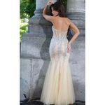 Anny Lee  Mermaid Sweetheart Sheer Bodice formal dress in nude size large Photo 1