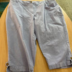 Talbots Perfect Skimmer Capri Pants 20WP 20W Petite Periwinkle Blue Cotton Blend Photo 0