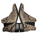 Steve Madden NWOT Snakeskin Booties with Silver Stud Accents 5 Photo 5
